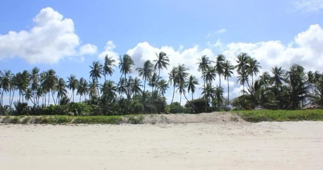 Diani Beach Apartment photo 9