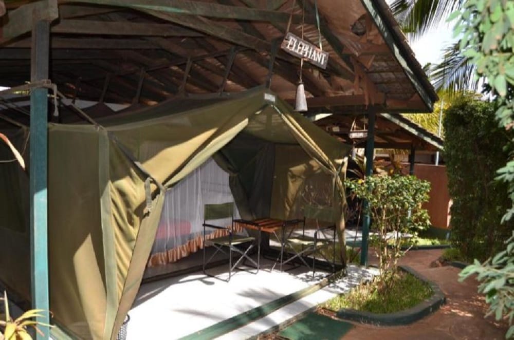 TripBambika Kenya travel experience