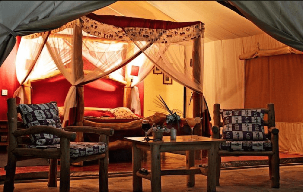 TripBambika Kenya travel experience