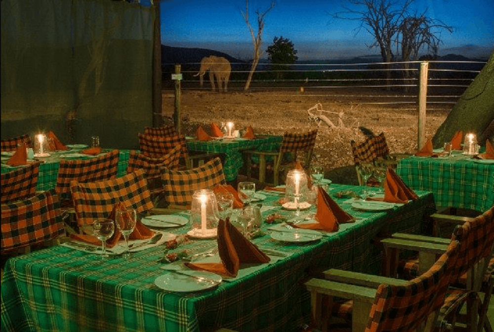 TripBambika Kenya travel experience