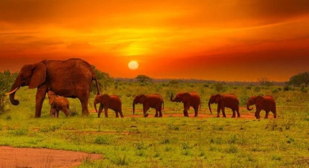 Tsavo, Kenya travel destination