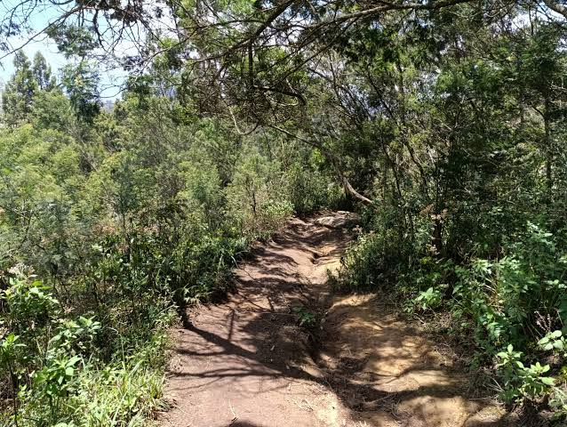 TripBambika Kenya travel experience